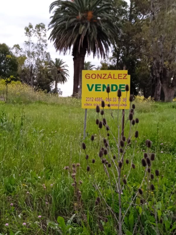 Venta terreno en Paso de la Arena