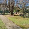 Venta de casa en Los Bulevares - Imagen 11