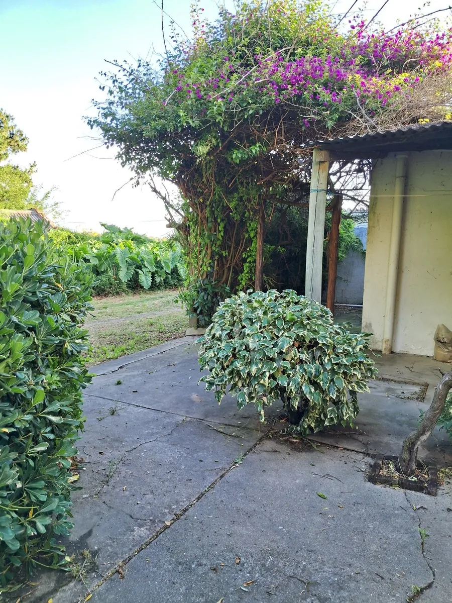 Alquiler de casa en próximo Paso de la Arena - Imagen 9