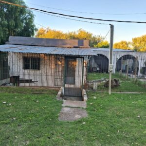 Venta de 2 casas con renta en Paso de la Arena